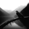 darkness268_