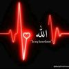 user04854353