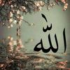 ibrahim8925