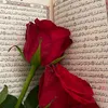 soaad_atef