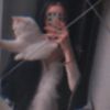 user24356536