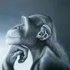 levrai_kingbro