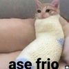 queso_cosmic0