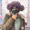 jellytoonz_