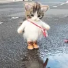 ....n0ur