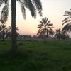 raadraad216