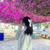 b_bbx.mx