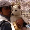 kentaroudayo46