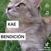 taty_14a