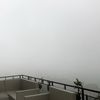 flwrpeac