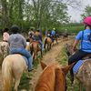equestrian_trailrider1.0