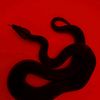 thecosmicserpent