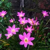 nature_lover_97