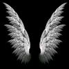 _wanodya12