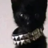 3nnjjooyyeerr
