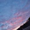 manyunya_3