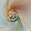 sakeena688