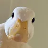 iassgvlr