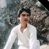 irfansherani804