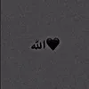 xlimii_1