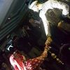 aroojzeeshan8