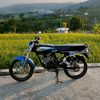 syahrul_firm