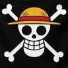 adityalmnu_