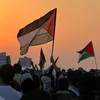 fatima.os6