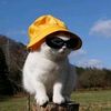 rumpsies