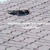 lhfuyfktdtiditdoy