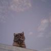 zahraa_134