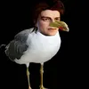 shteveharrington965