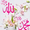 user4081462409092