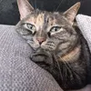 aminaaitadh