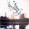 afnannoor30
