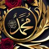 user18113874