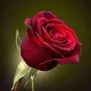 privateaccount1214