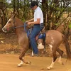 mano_jotace7
