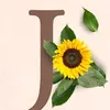 jxx9800