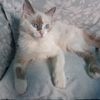 angela18ev