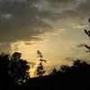 luca_unofficial_