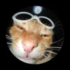 cutipotatie