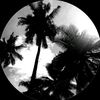 al_hemedi