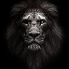 mhmdhilal31
