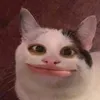 lammevanchill