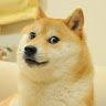 dogesat