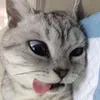 anghelmooooo