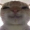 user6068113339477