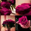 pink_f9