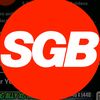 supergainsbros